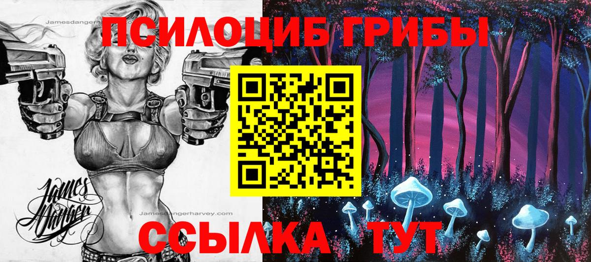 Галлюциногенные грибы мухоморы Черемхово